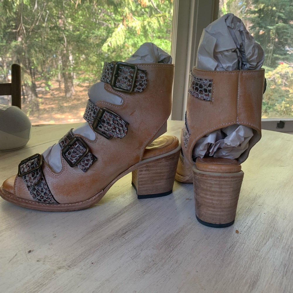 Freebird  Blush Quails